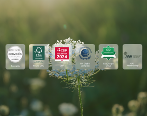 footer image